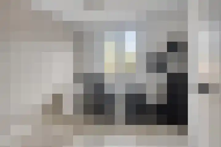 De Bongerd 26 Oss thumbnail 25