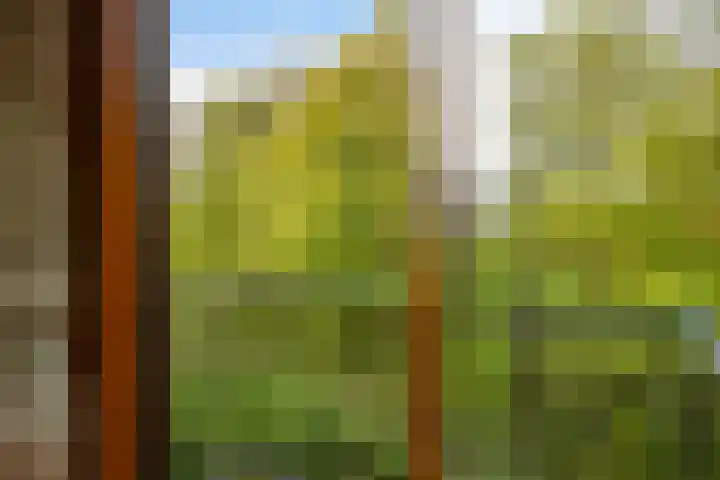 De Bongerd 26 Oss thumbnail 28