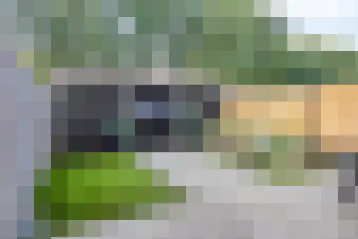 De Bongerd 26 Oss thumbnail 29