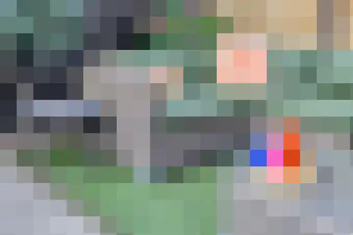 De Bongerd 26 Oss thumbnail 30