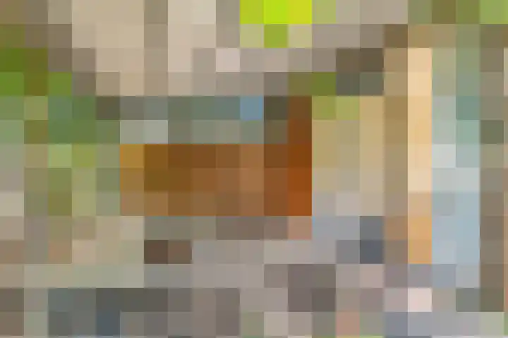 De Bongerd 26 Oss thumbnail 31