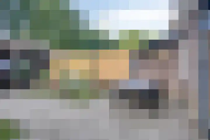 De Bongerd 26 Oss thumbnail 31