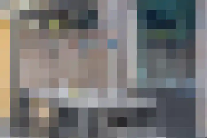 De Bongerd 26 Oss thumbnail 32