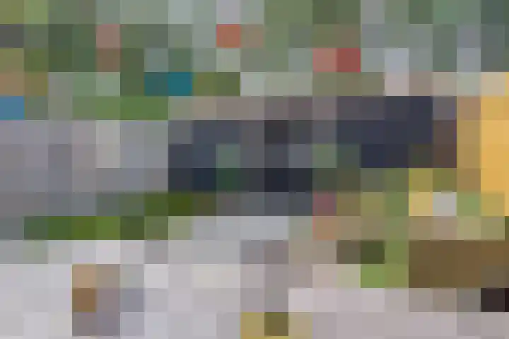 De Bongerd 26 Oss thumbnail 33