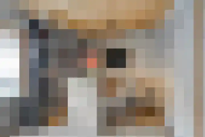 De Bongerd 26 Oss thumbnail 34