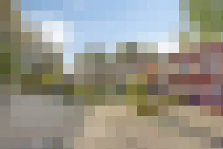 De Bongerd 26 Oss thumbnail 38