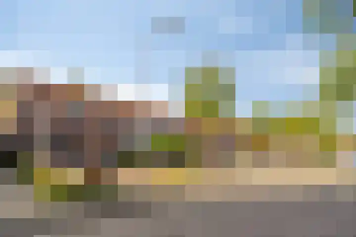 De Bongerd 26 Oss thumbnail 39