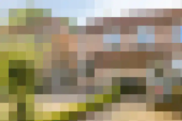 De Bongerd 26 Oss thumbnail 40