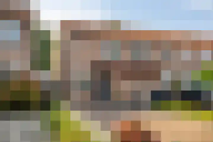 De Bongerd 26 Oss thumbnail 5