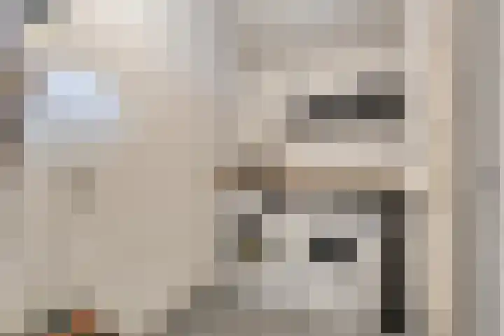 De Bongerd 26 Oss thumbnail 7