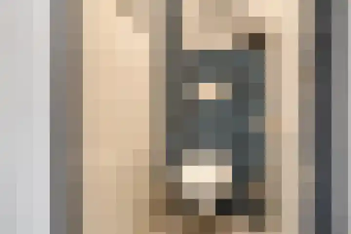 De Bongerd 26 Oss thumbnail 8