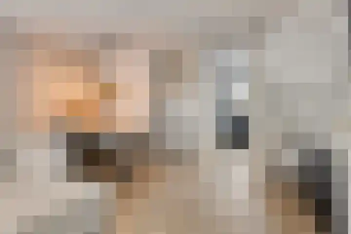 De Bongerd 26 Oss thumbnail 9