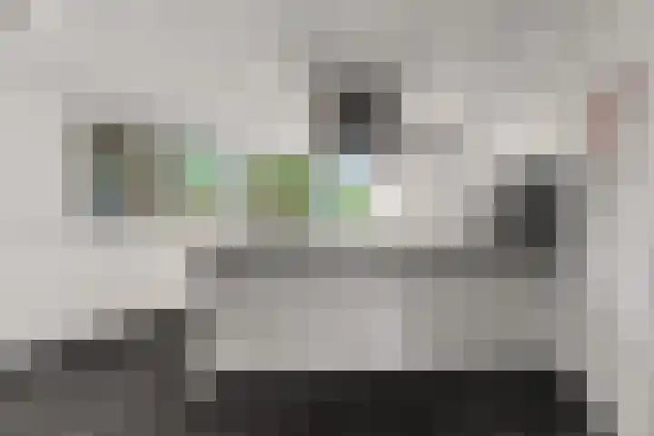 de Bongerd 27 Pannerden thumbnail 13