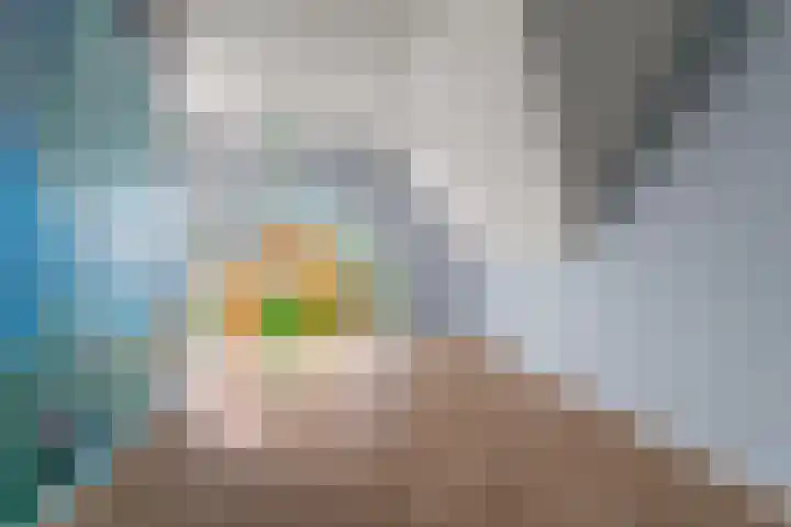 de Bongerd 27 Pannerden thumbnail 26