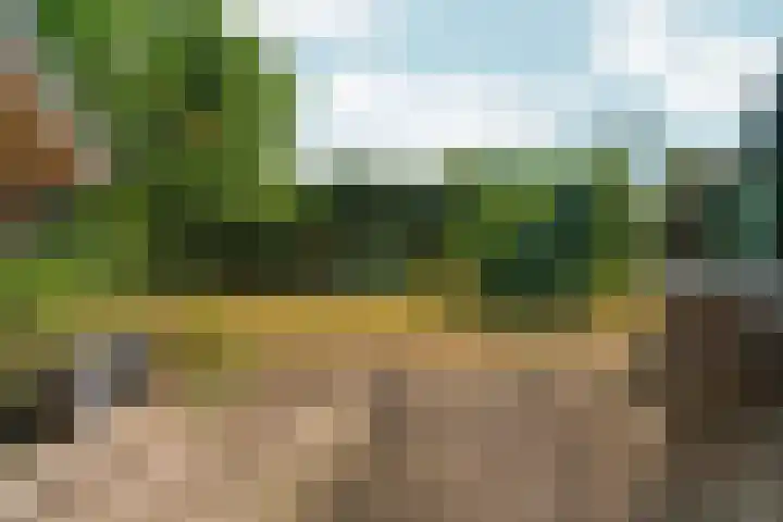 de Bongerd 27 Pannerden thumbnail 39