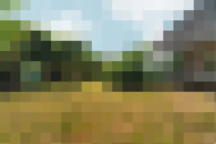 de Bongerd 27 Pannerden thumbnail 40