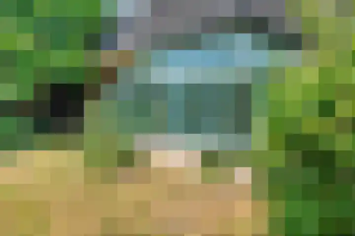 de Bongerd 27 Pannerden thumbnail 42