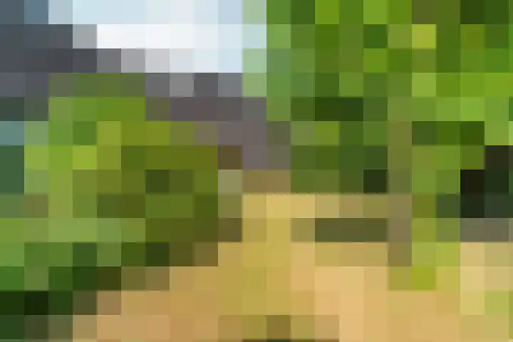 de Bongerd 27 Pannerden thumbnail 45