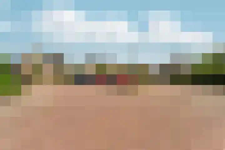de Bongerd 27 Pannerden thumbnail 49