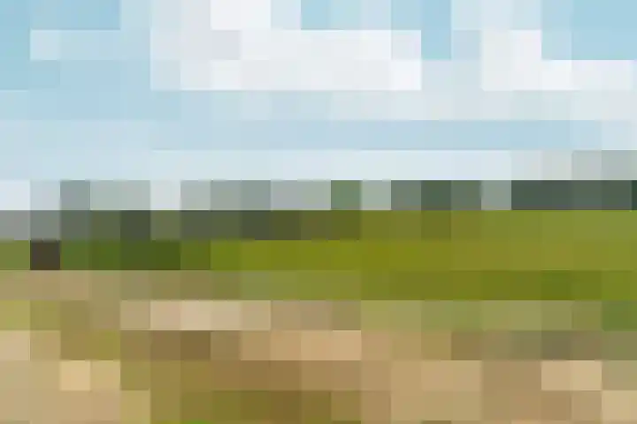 de Bongerd 27 Pannerden thumbnail 51