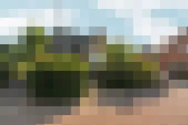 de Bongerd 27 Pannerden thumbnail 62