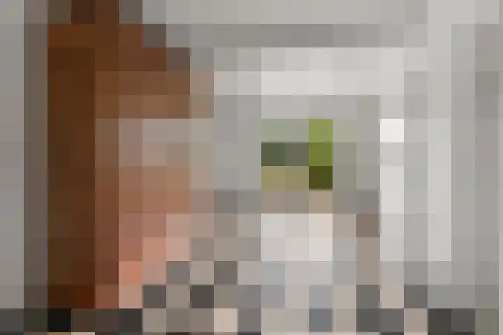 de Bongerd 27 Pannerden thumbnail 7