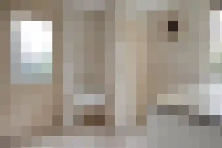 de Bongerd 5 Saasveld thumbnail 11