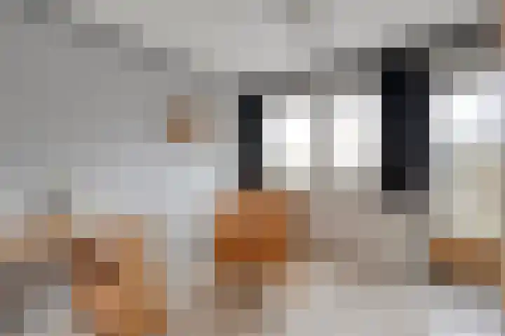 de Bongerd 5 Saasveld thumbnail 15