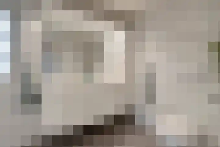 de Bongerd 5 Saasveld thumbnail 17