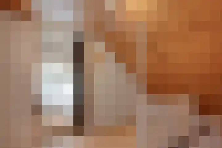 de Bongerd 5 Saasveld thumbnail 18