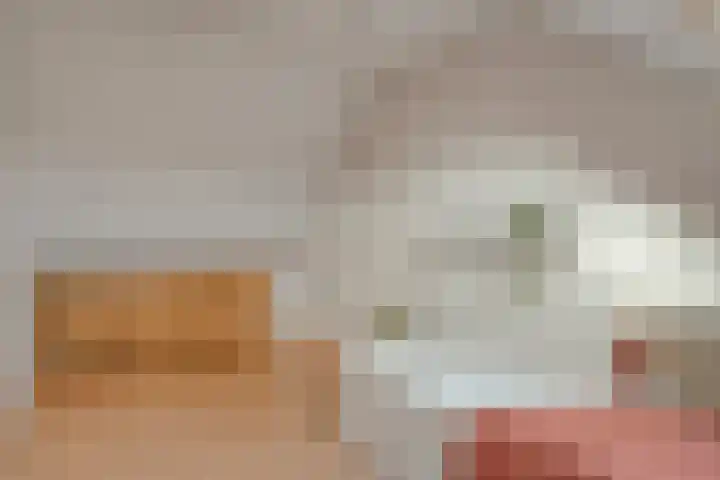 de Bongerd 5 Saasveld thumbnail 20