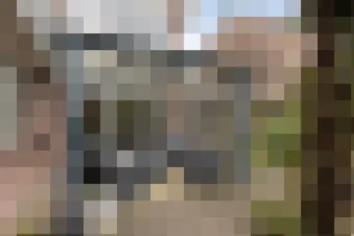 de Bongerd 5 Saasveld thumbnail 21