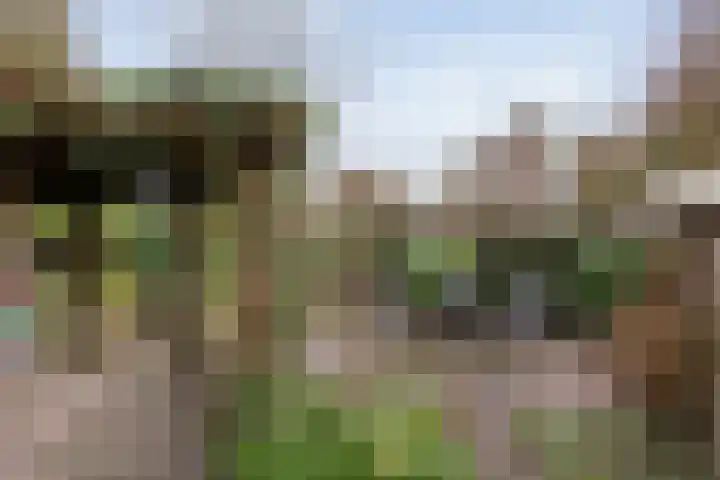 de Bongerd 5 Saasveld thumbnail 22