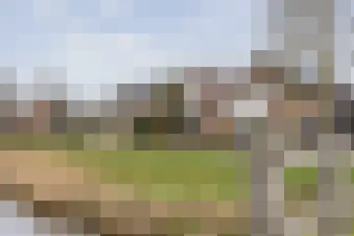 de Bongerd 5 Saasveld thumbnail 23