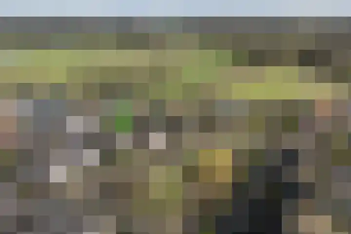 de Bongerd 5 Saasveld thumbnail 24