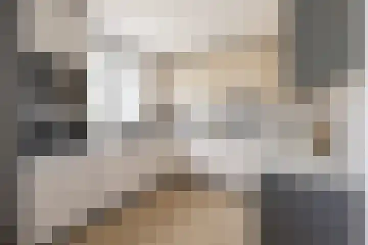 De Bongerd 57 Oss thumbnail 10