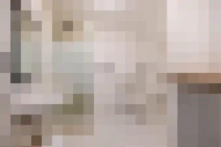De Bongerd 57 Oss thumbnail 19