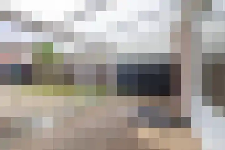 De Bongerd 57 Oss thumbnail 24