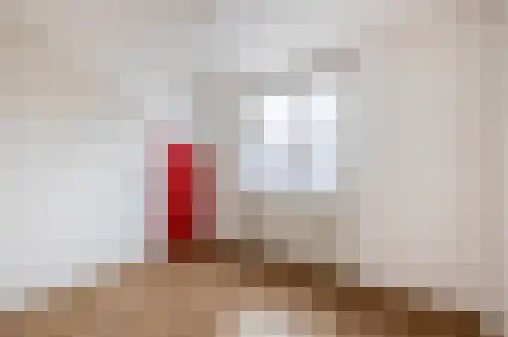 De Bongerd 57 Oss thumbnail 4