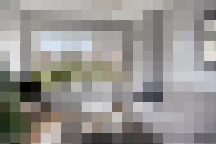 de Bongerd 6 Vorden thumbnail 10