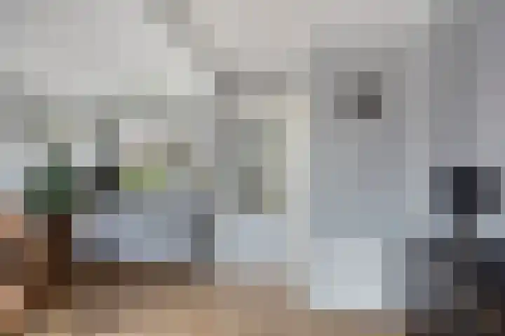 de Bongerd 6 Vorden thumbnail 15