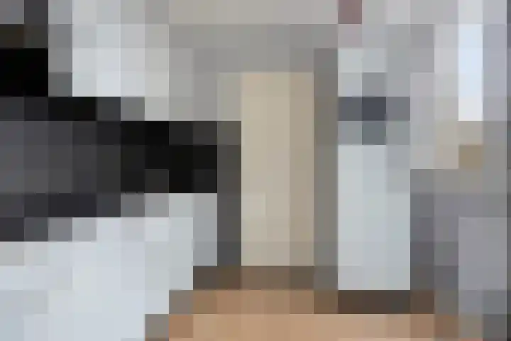 de Bongerd 6 Vorden thumbnail 16