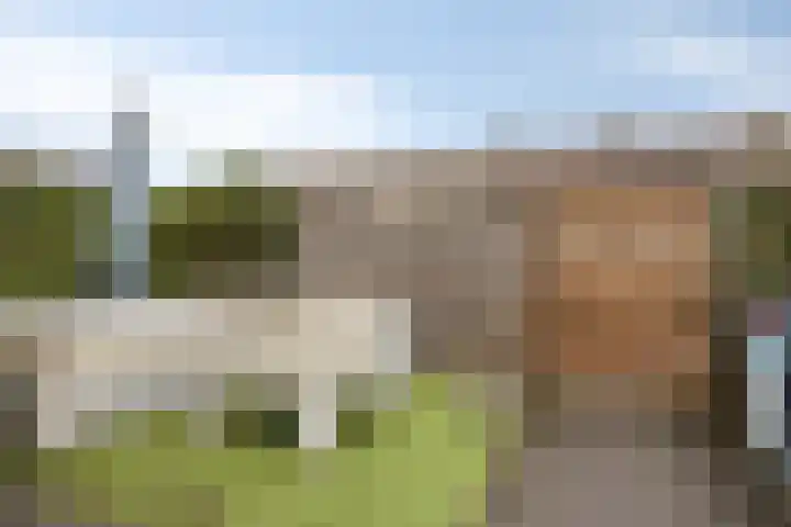 de Bongerd 6 Vorden thumbnail 32