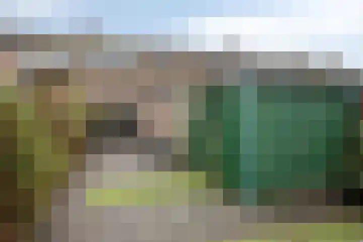 de Bongerd 6 Vorden thumbnail 33
