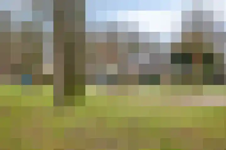 de Bongerd 6 Vorden thumbnail 34