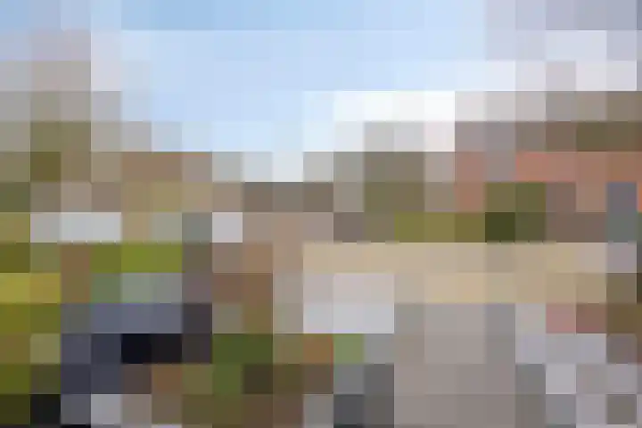 de Bongerd 6 Vorden thumbnail 5