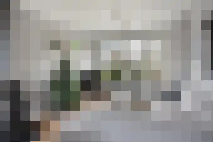 de Bongerd 6 Vorden thumbnail 8