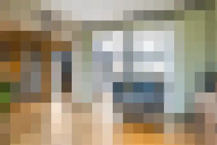 De Bongerd 60 Schoonebeek thumbnail 16