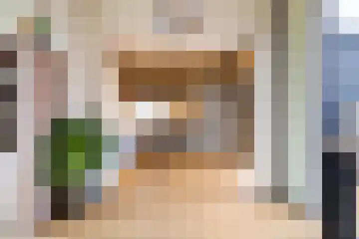 De Bongerd 60 Schoonebeek thumbnail 18