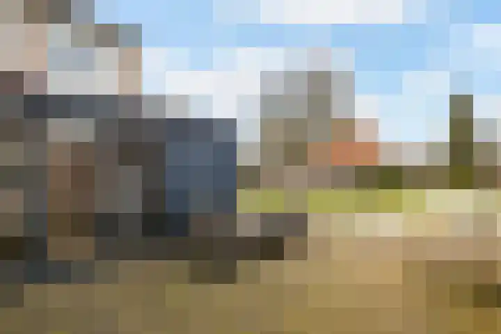 De Bongerd 60 Schoonebeek thumbnail 33